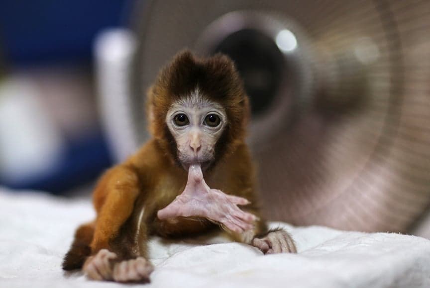 Year in Pictures: Animals