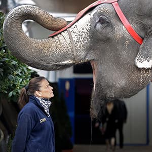Week in Pictures