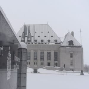 Doctors react to the physician-assisted death ruling