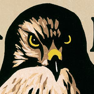 When grief takes flight: Book review