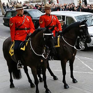 Why were RCMP Musical Ride horses in London?