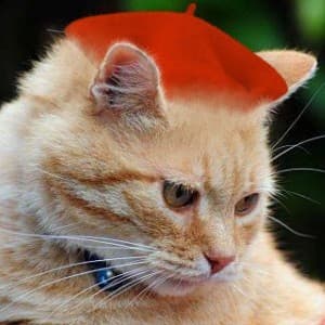 A cat's artistic tale