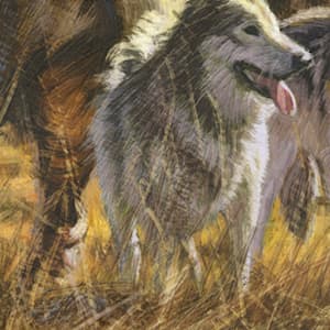 Neanderthals vs. man’s best friend: Book review