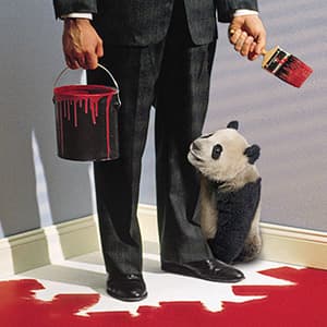 Stephen Harper's rules of awesome diplomacy (Hint: More pandas.)