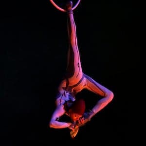 A hint of sanity in Quebec over the Cirque sale