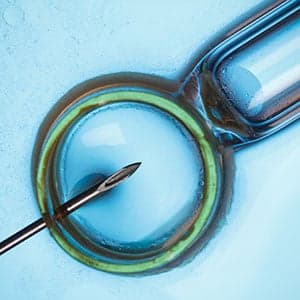 Why male bias in the lab is bad science