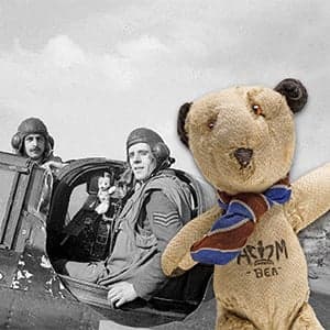 Teddy bear's nitpick: The international mystery of the Beaumont Bear