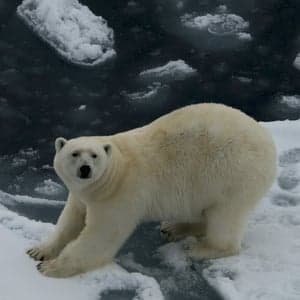 Another bad month for climate change
