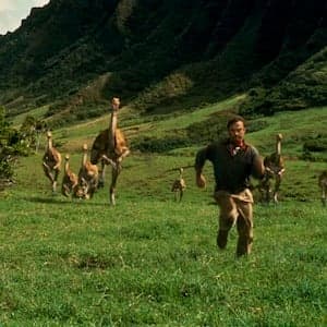 Quiz: How much do you really know about dinosaurs?