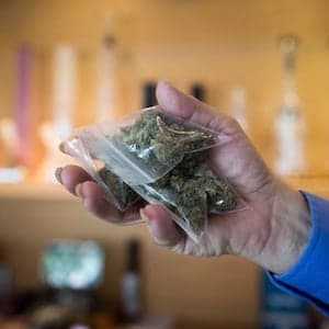 Harper's pot stance versus science