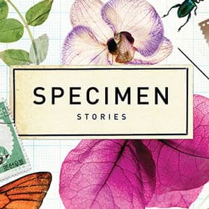 Science fiction, in the literal sense of the term