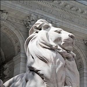 Two lions in winter: How to save a public library