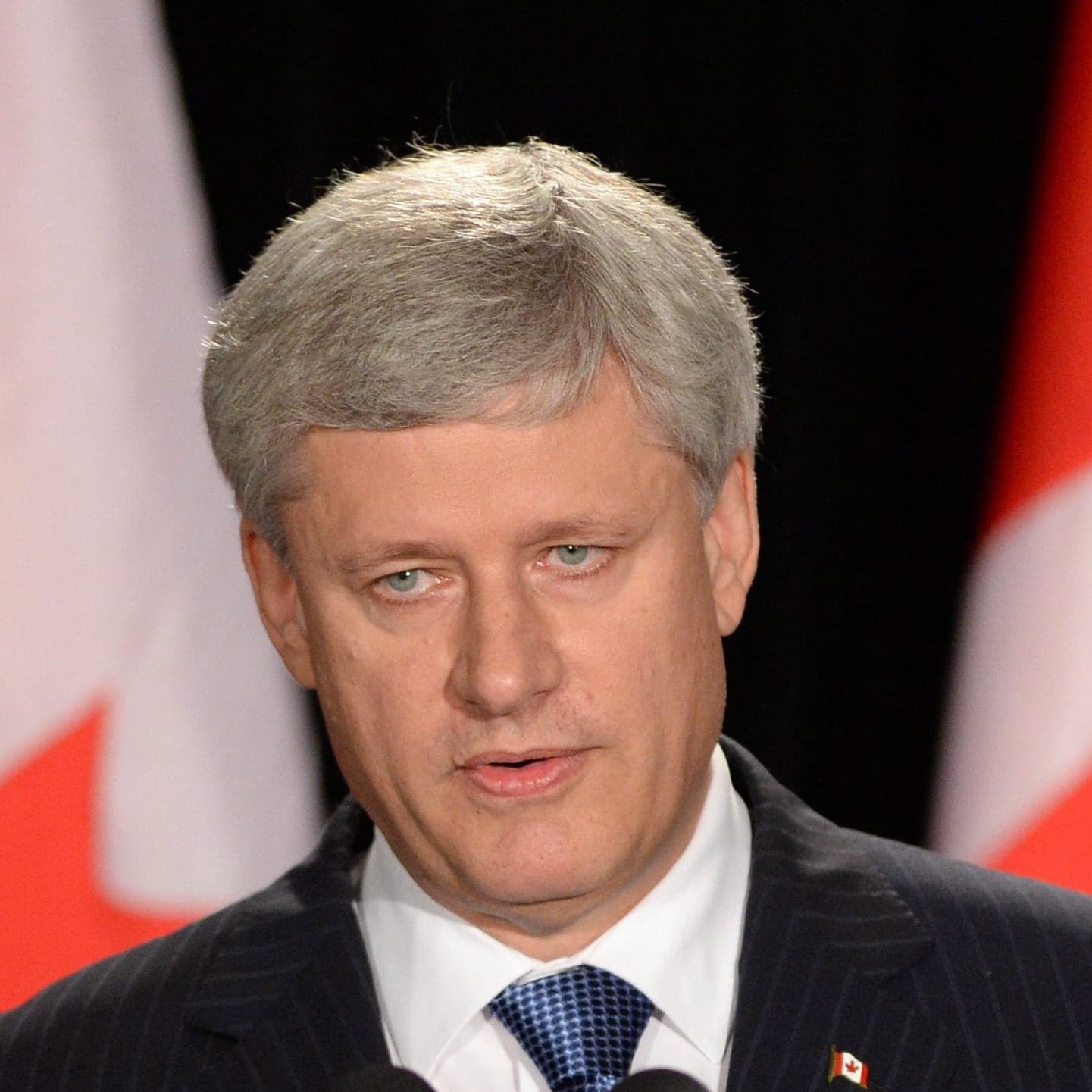 This is the campaign Stephen Harper wanted—a month ago