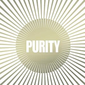 Franzen's 'Purity': On the new Stasi and the stasis of doomed love