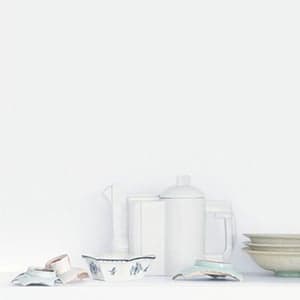 Worshipping a history of porcelain