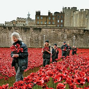 The changing shades of Flanders Fields