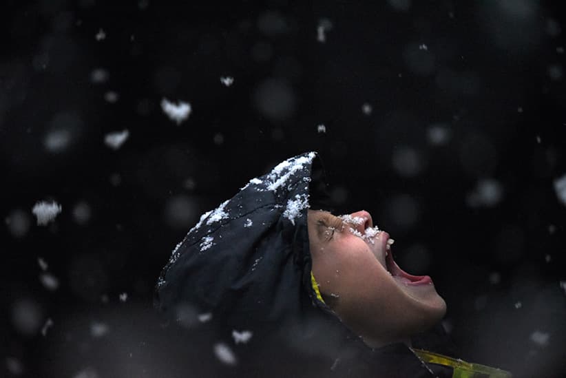 Week in Pictures