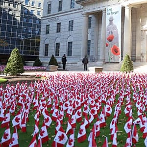 A Remembrance Day garden of flags for the fallen