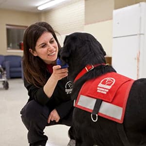Cool Jobs Q&A: Guide dog trainer