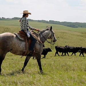 Bring your own horse to cowboy college