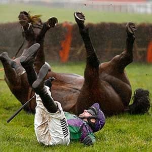 Week in Pictures