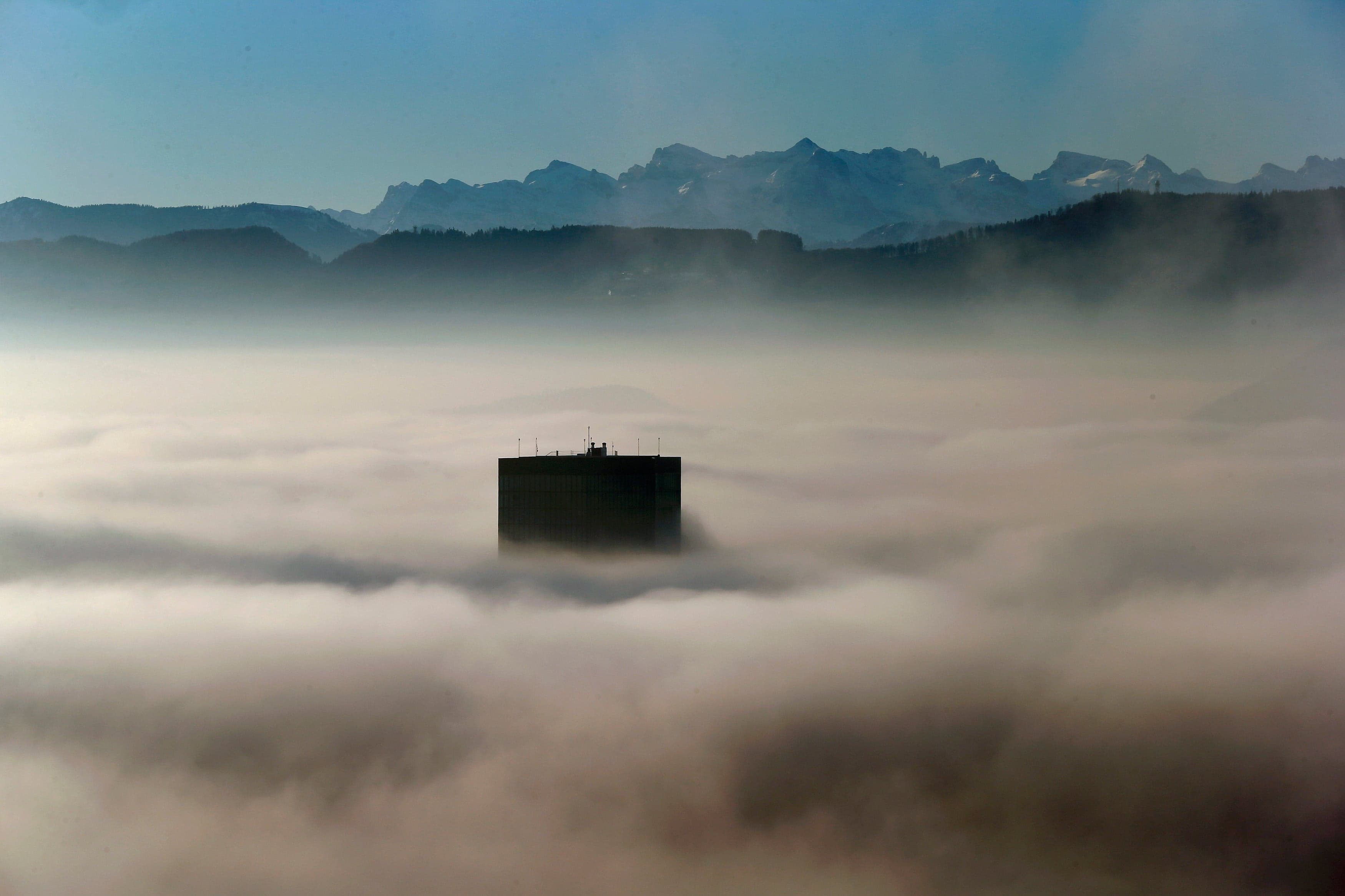 Week in Pictures