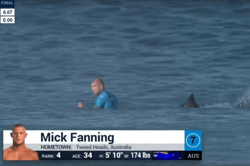 Newsmakers 2015: The viral videos that won over the Internet