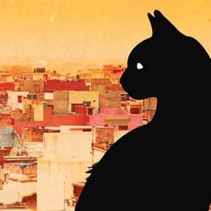 A delightful story of Delhi’s cats