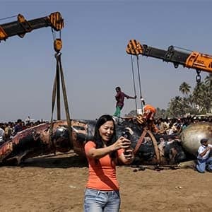 Week in Pictures
