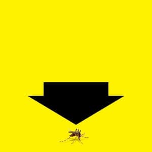 Zika: The new global health terror