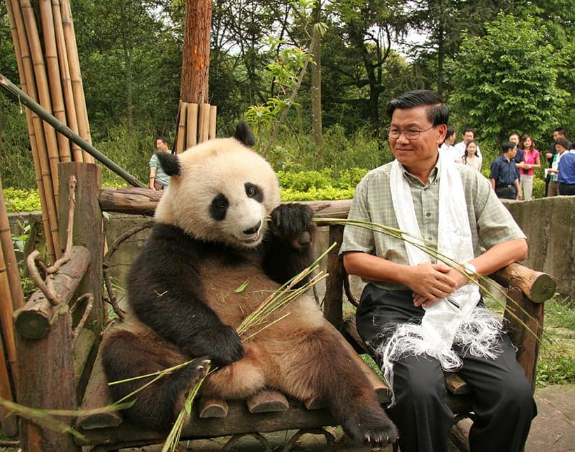 Political panda-monium: Black and white unites left and right