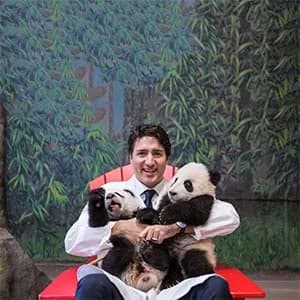 Talking Points: On Panda cubs and BBQ scrubs