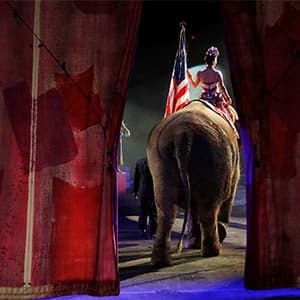 Talking Points: Of bear trade and a marten strayed