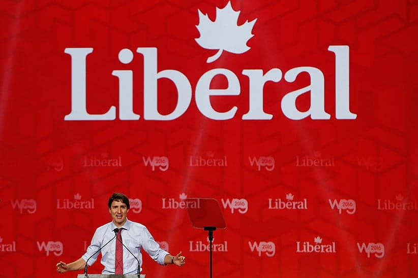 The purple haze of Liberal politics