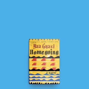 Homegoing is a dazzling, million-dollar debut novel set in Ghana