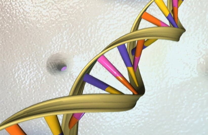 Remodelling the human genome