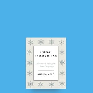 The wonder of speech, according to a top neurolinguist