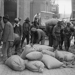The forgotten Chinese labourers of the First World War