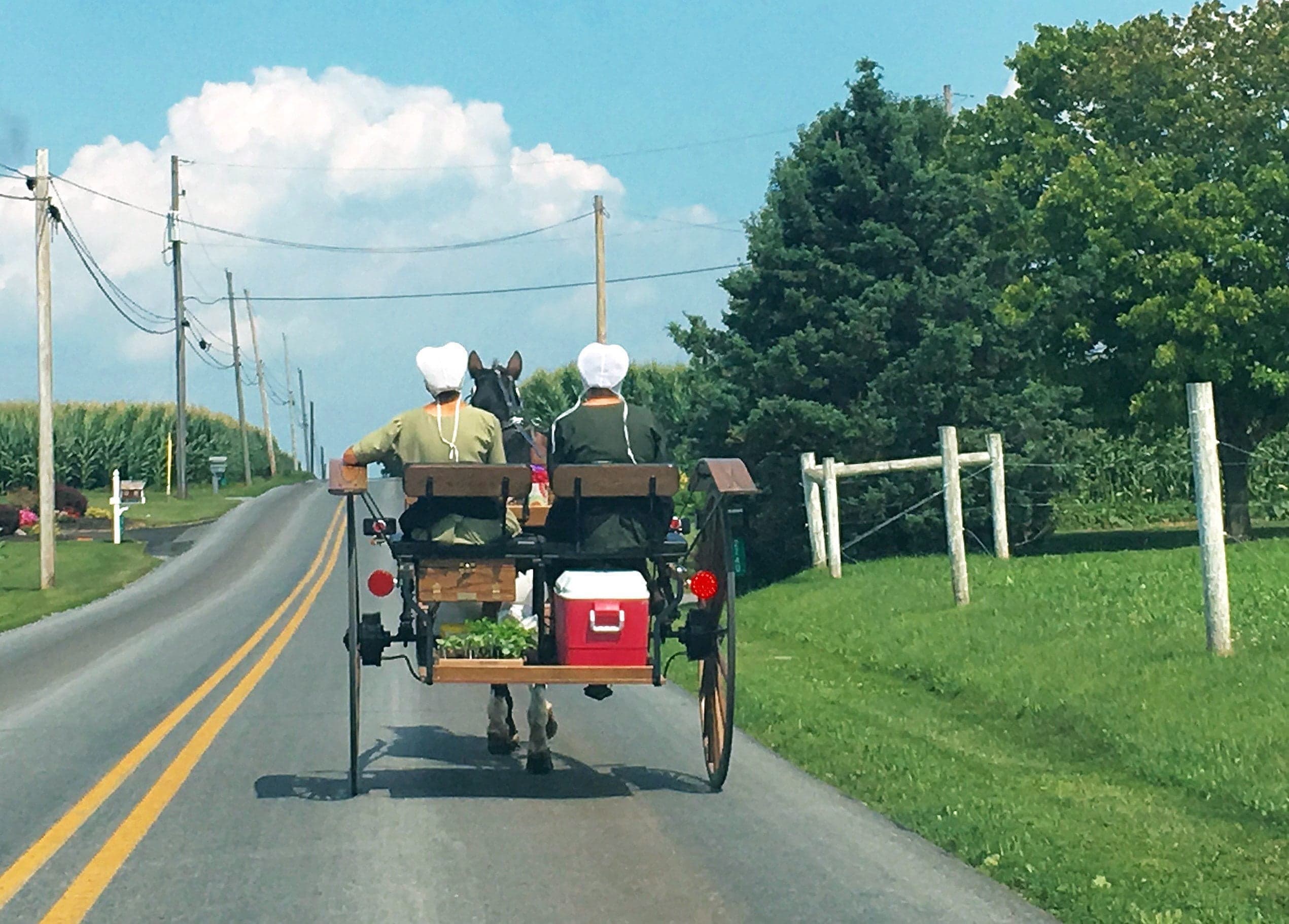 Donald Trump: Amish candidate of choice