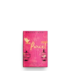 Hijra sex workers at the centre of Anosh Irani novel