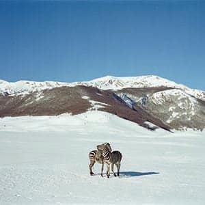 Postcards from the edge of the earth