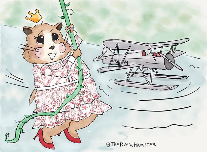 Marvin the Royal Hamster conquers the kingdom