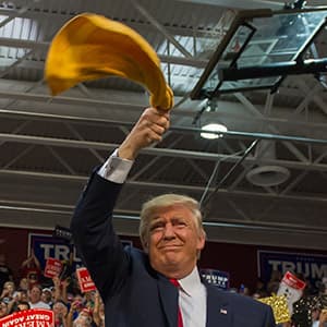 Election Daily: Donald Trump, unshackled