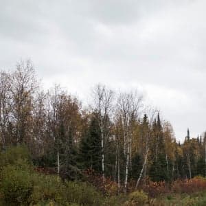 The other residential school runaways