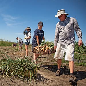 Birds, bees, and drones: The new face of Canadian agriculture
