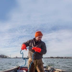 A kelp agricultural revolution