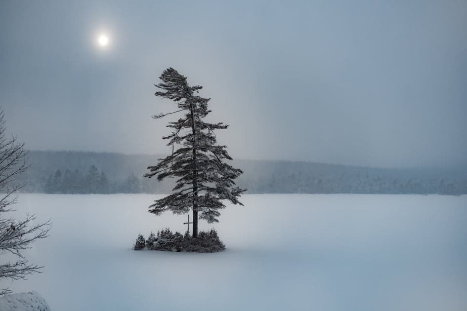 The sadness that can lurk beneath the holiday cheer