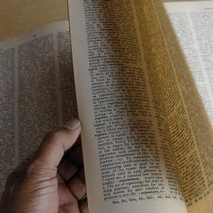 A dictionary editor's concession: Language is 'really squishy'