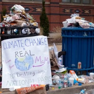 Why Americans have come to worship their own ignorance