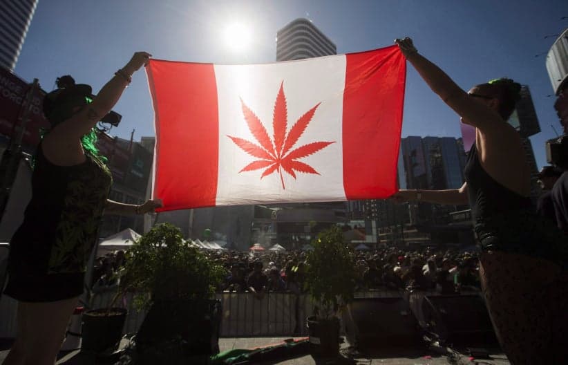 marijuana leaf Canadian flag